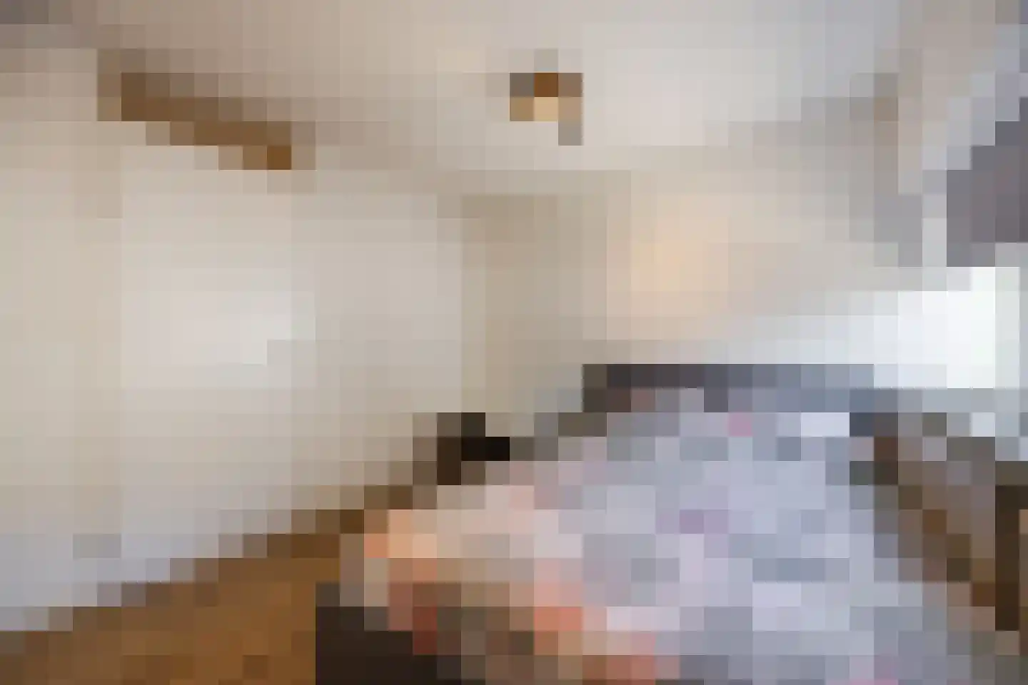 Maldenhof 1 Tilburg thumbnail 28