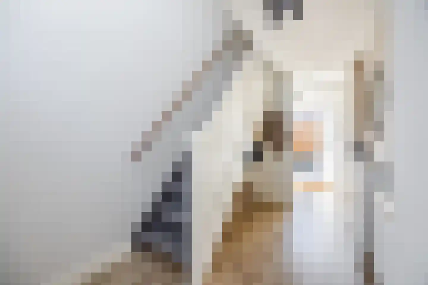 Maldenhof 1 Tilburg thumbnail 36
