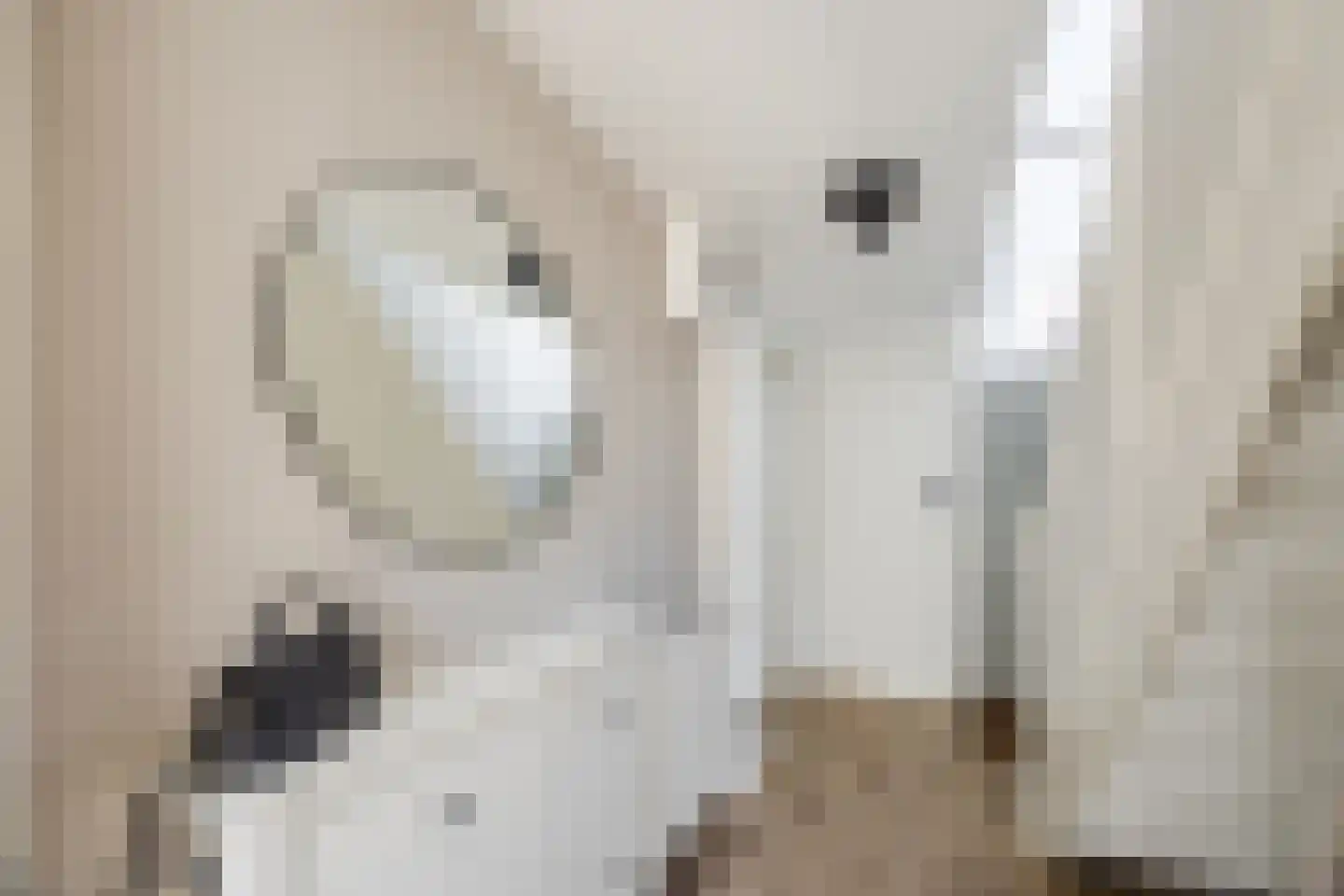 Maldenhof 1 Tilburg thumbnail 37