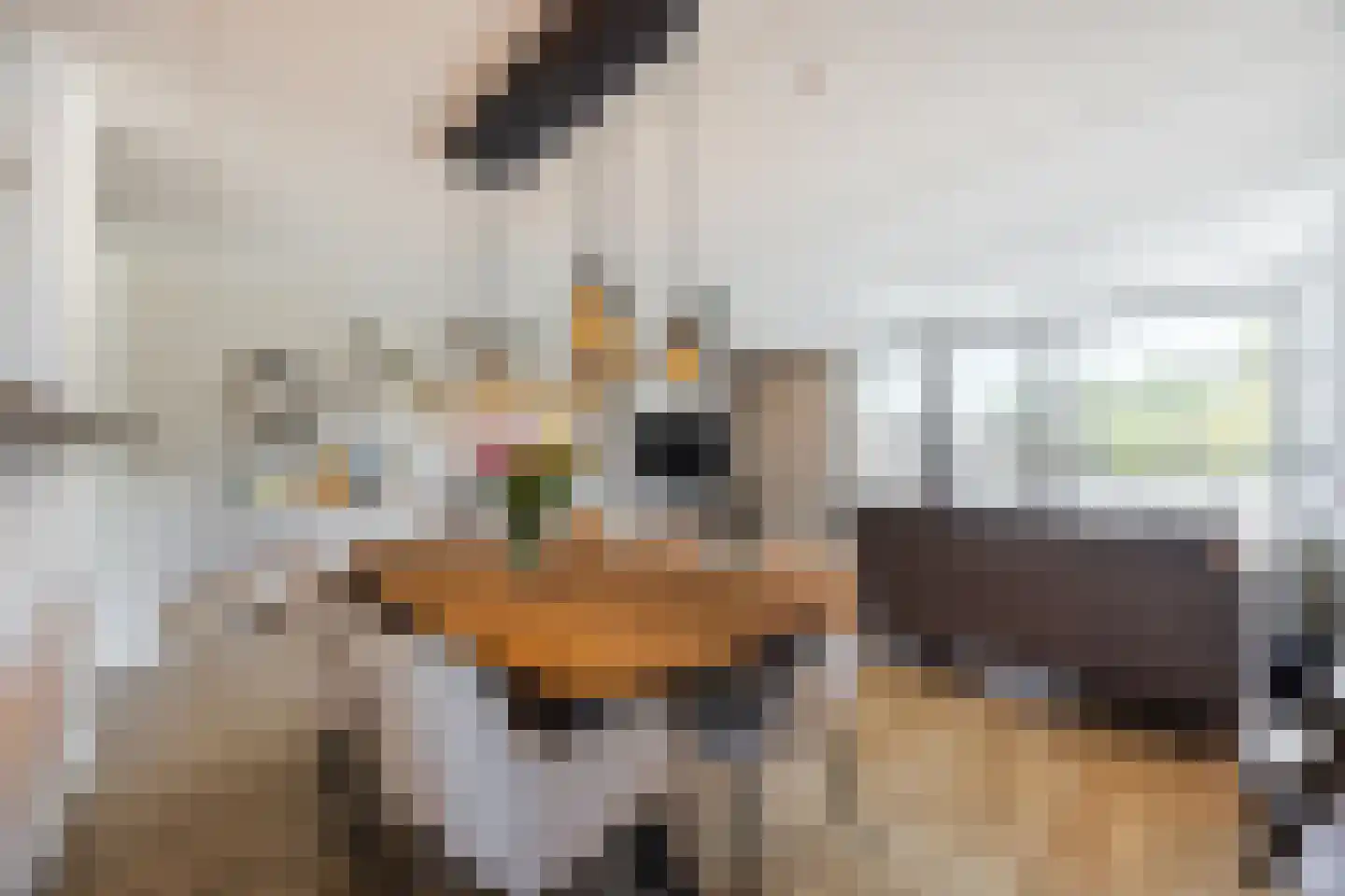 Maldenhof 1 Tilburg thumbnail 4