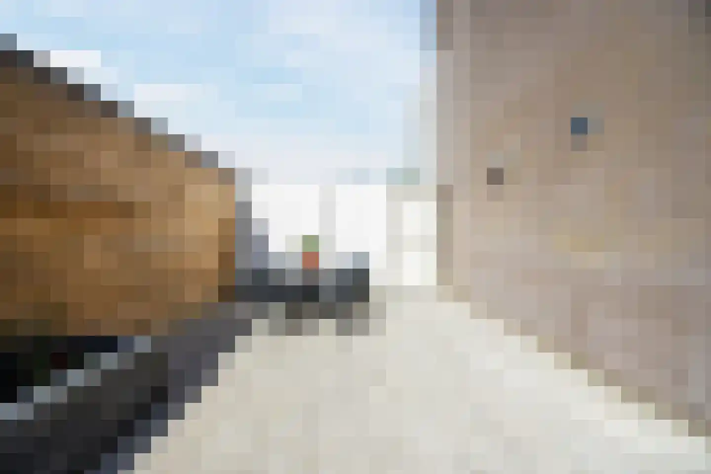 Maldenhof 1 Tilburg thumbnail 41
