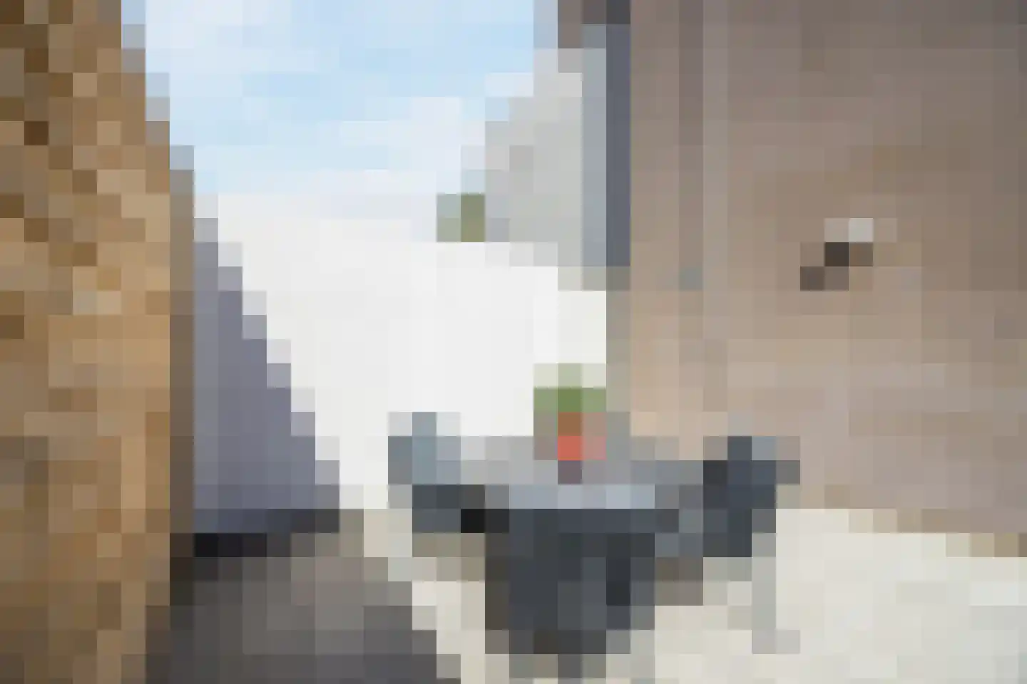 Maldenhof 1 Tilburg thumbnail 43