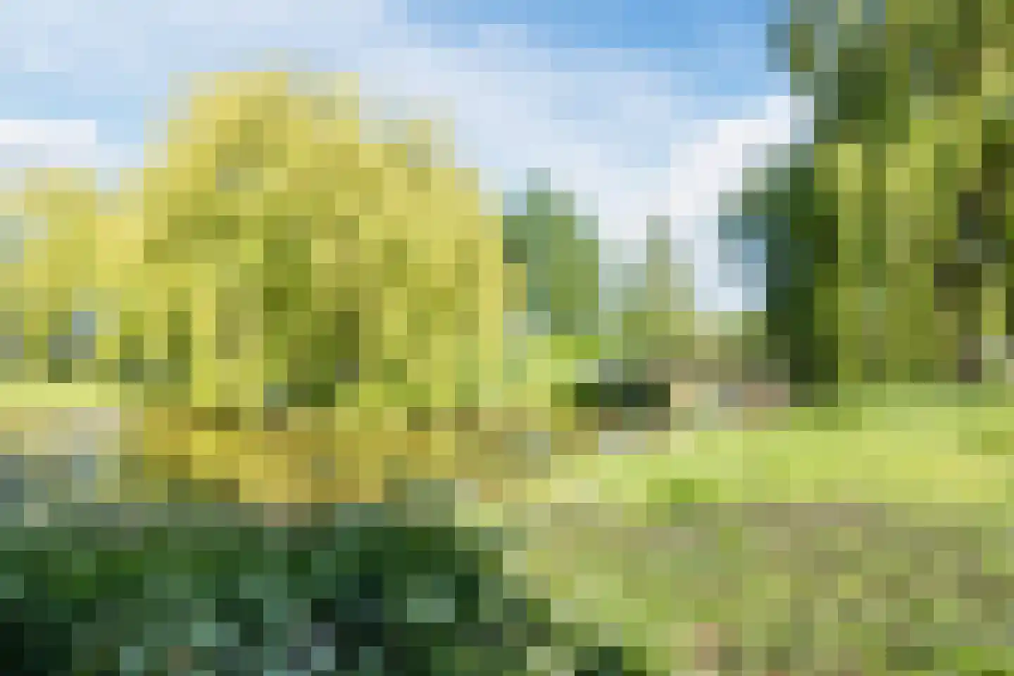 Maldenhof 1 Tilburg thumbnail 50