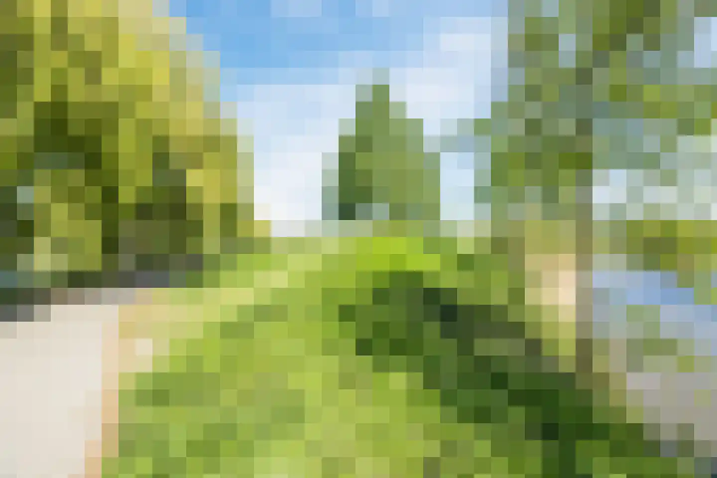 Maldenhof 1 Tilburg thumbnail 52