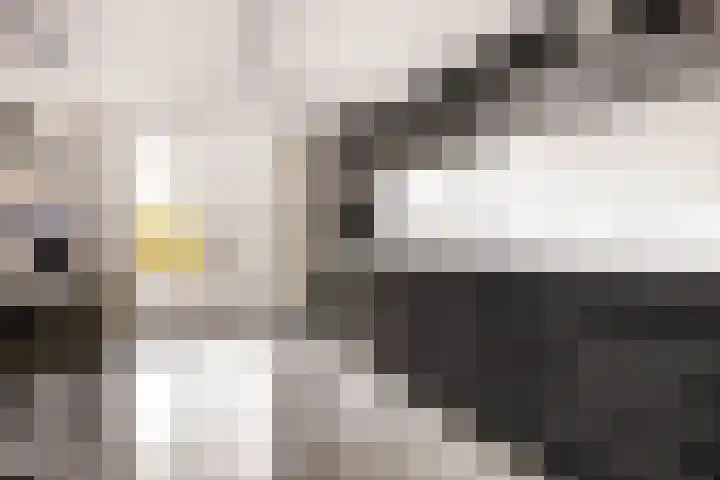 Maldenhof 3 Tilburg thumbnail 11