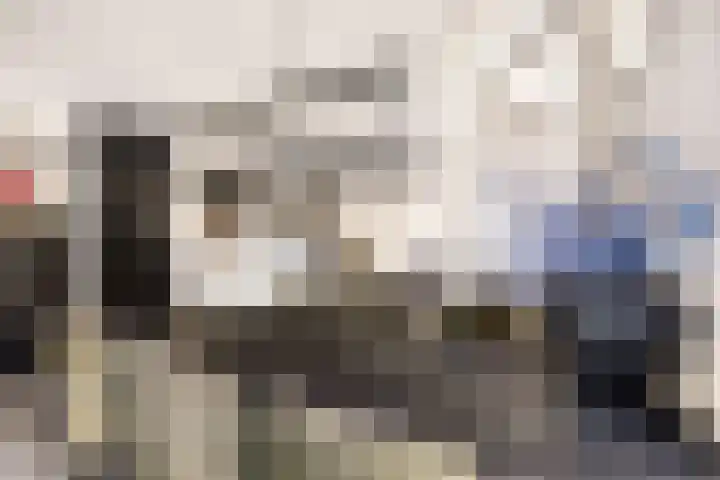 Maldenhof 3 Tilburg thumbnail 12