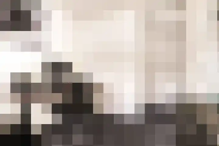 Maldenhof 3 Tilburg thumbnail 22