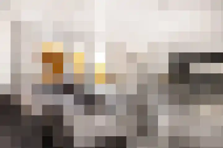 Maldenhof 3 Tilburg thumbnail 4
