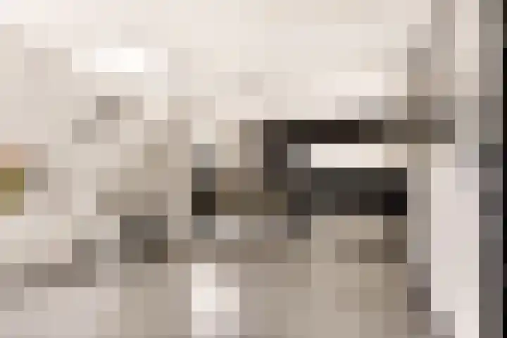 Maldenhof 3 Tilburg thumbnail 6