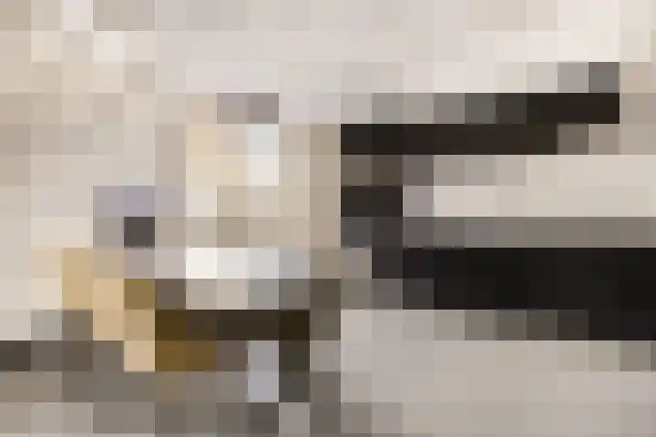 Maldenhof 3 Tilburg thumbnail 7