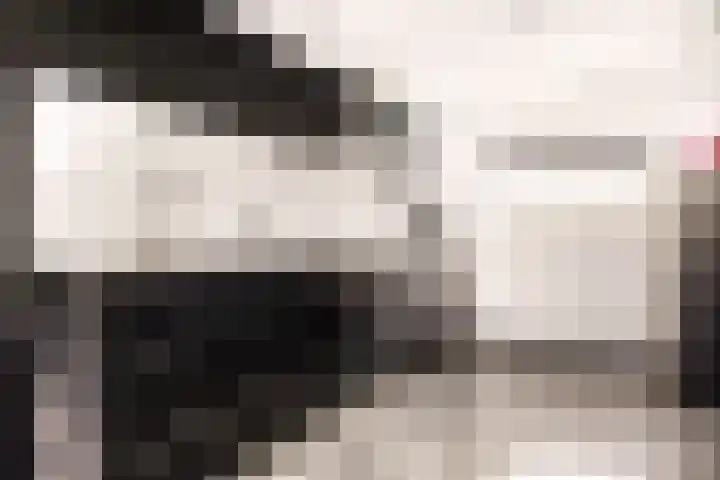 Maldenhof 3 Tilburg thumbnail 9