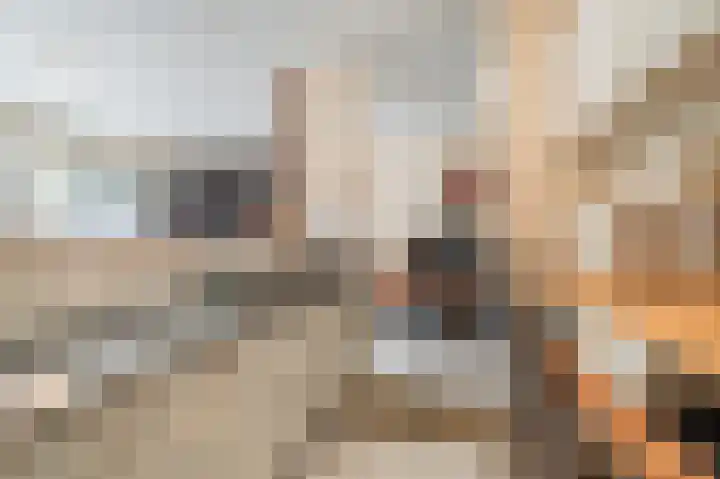 Maldenhof 312 Amsterdam thumbnail 17