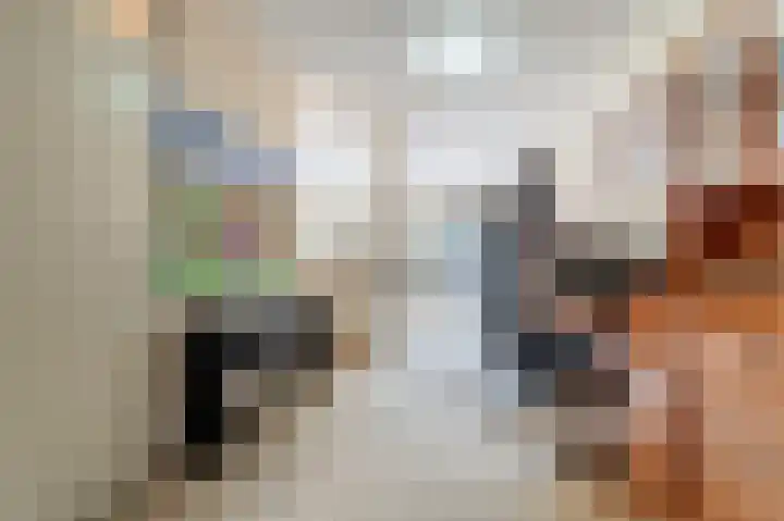 Maldenhof 312 Amsterdam thumbnail 18