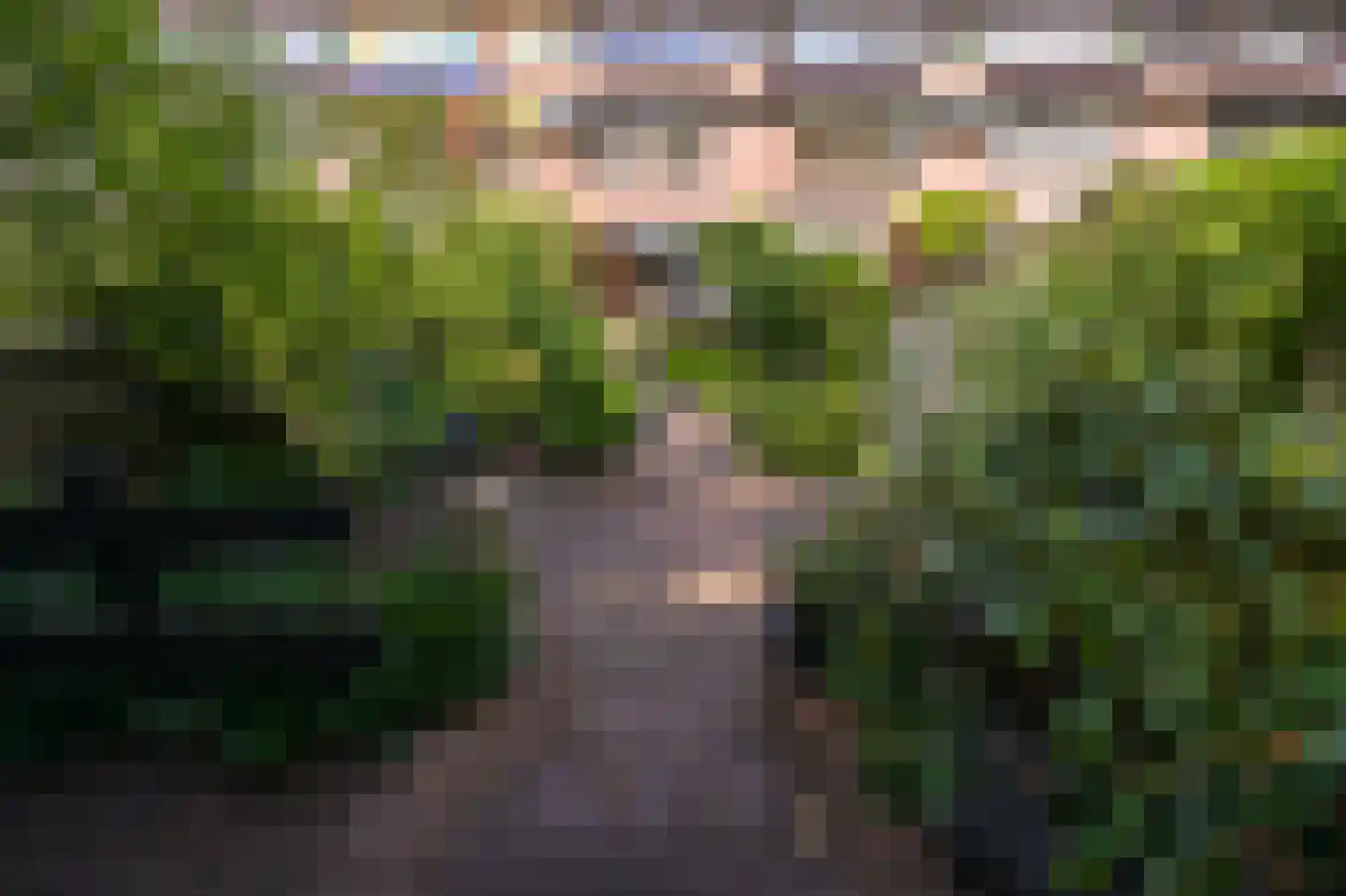 Maldenhof 463 Amsterdam thumbnail 40