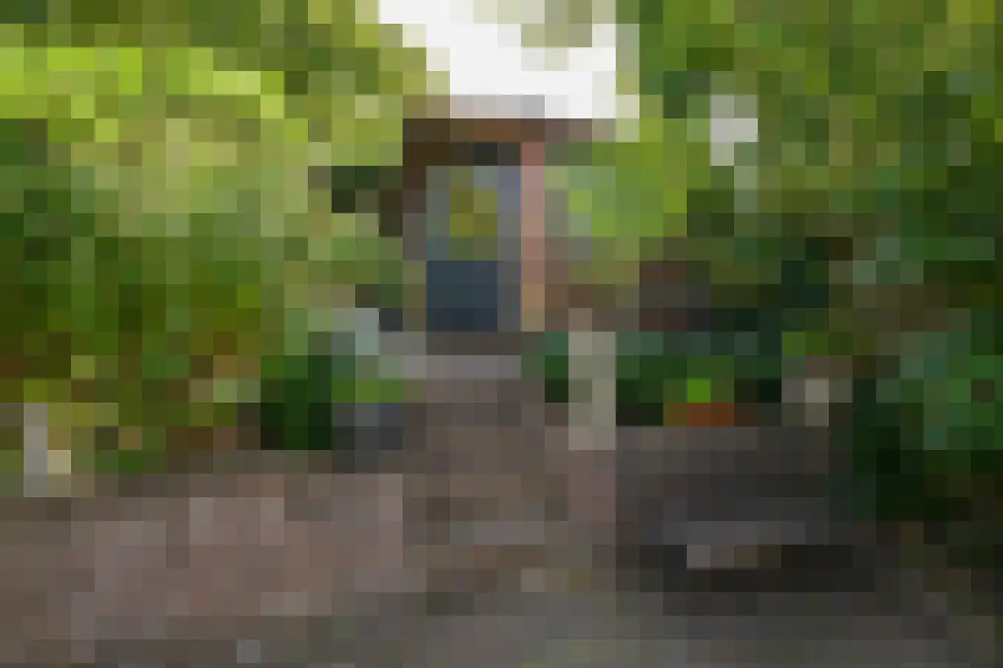 Maldenhof 463 Amsterdam thumbnail 41
