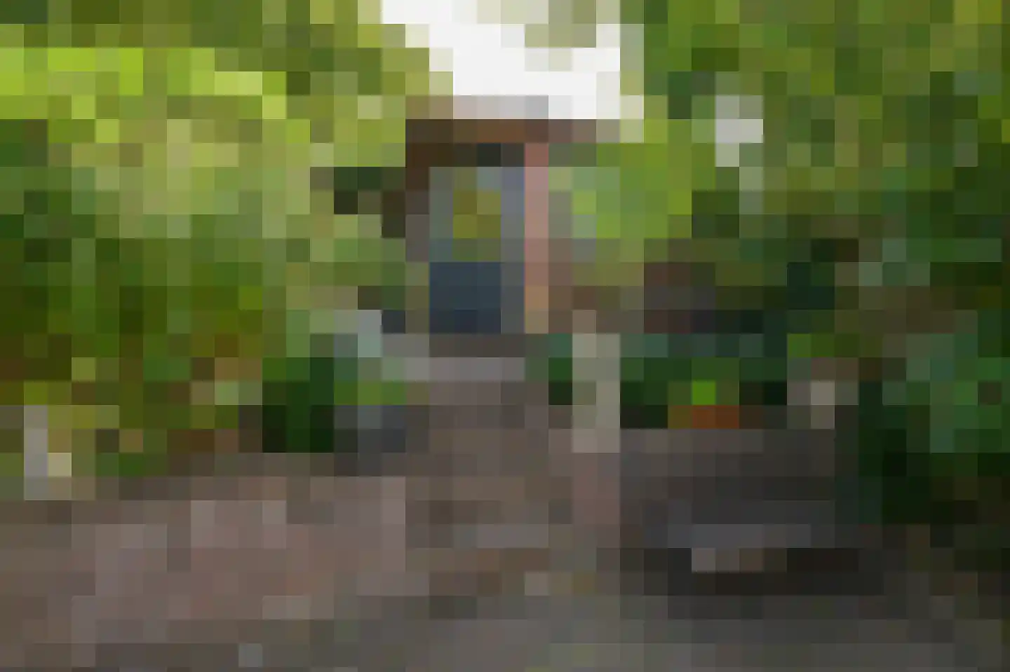 Maldenhof 463 Amsterdam thumbnail 6