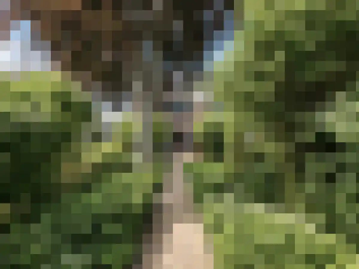 Maldenhof 491 Amsterdam thumbnail 6