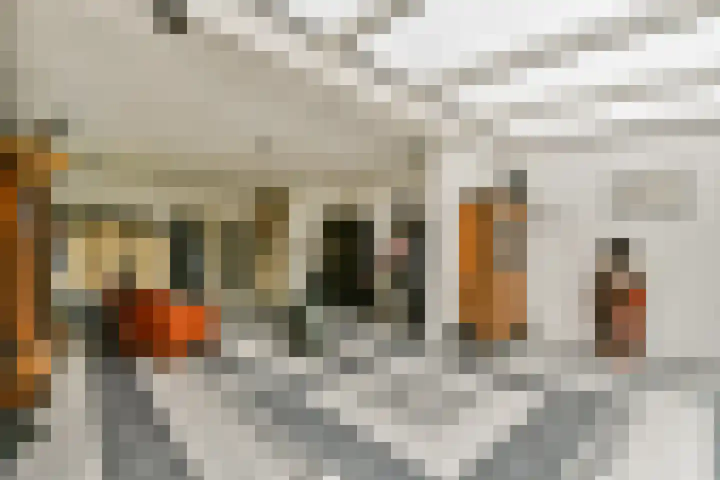 Maldenhof 511 Amsterdam thumbnail 7