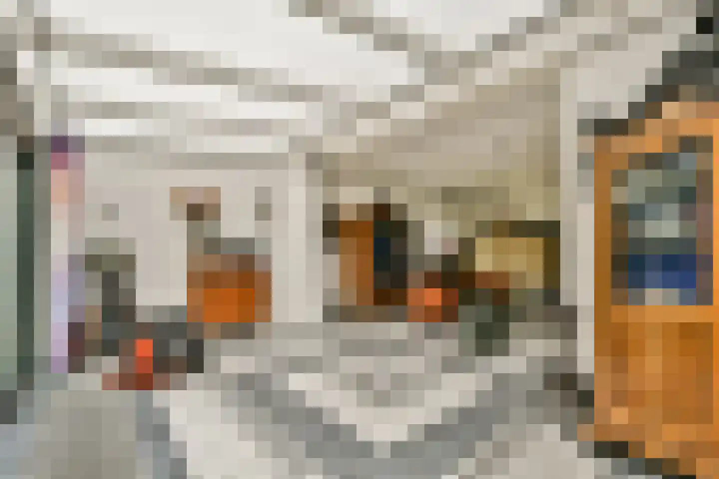 Maldenhof 511 Amsterdam thumbnail 9