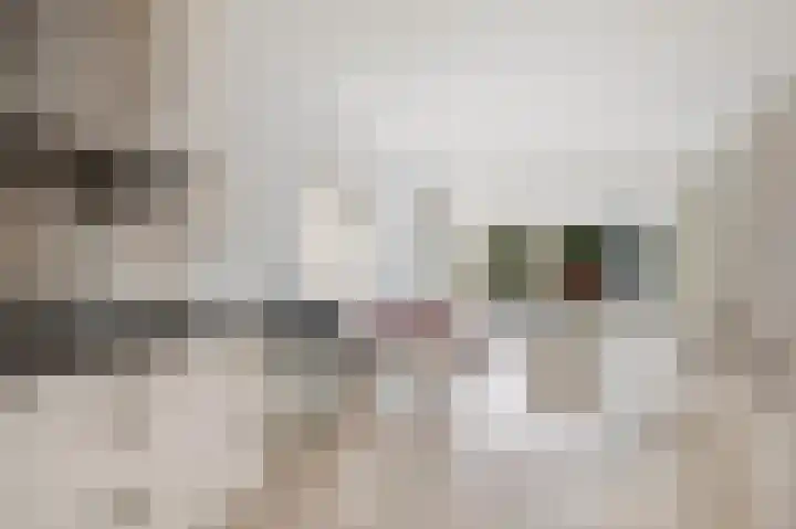 Maldenhof 61 Amsterdam thumbnail 8