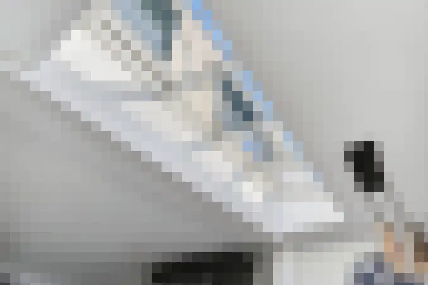 Malder 13 Uden thumbnail 27