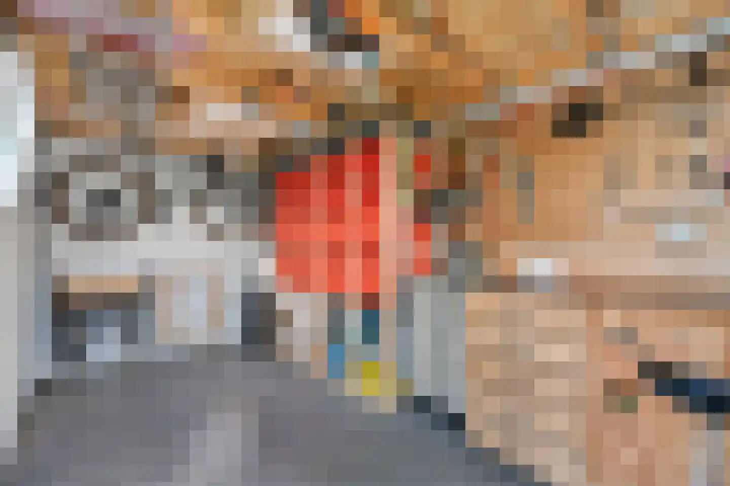 Malder 13 Uden thumbnail 72