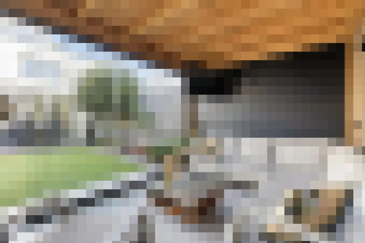Malder 13 Uden thumbnail 75
