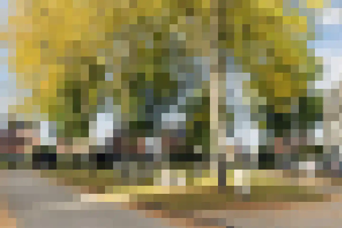 Malder 13 Uden thumbnail 79