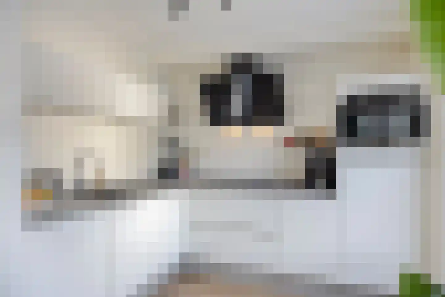 Malder 14 Uden thumbnail 12