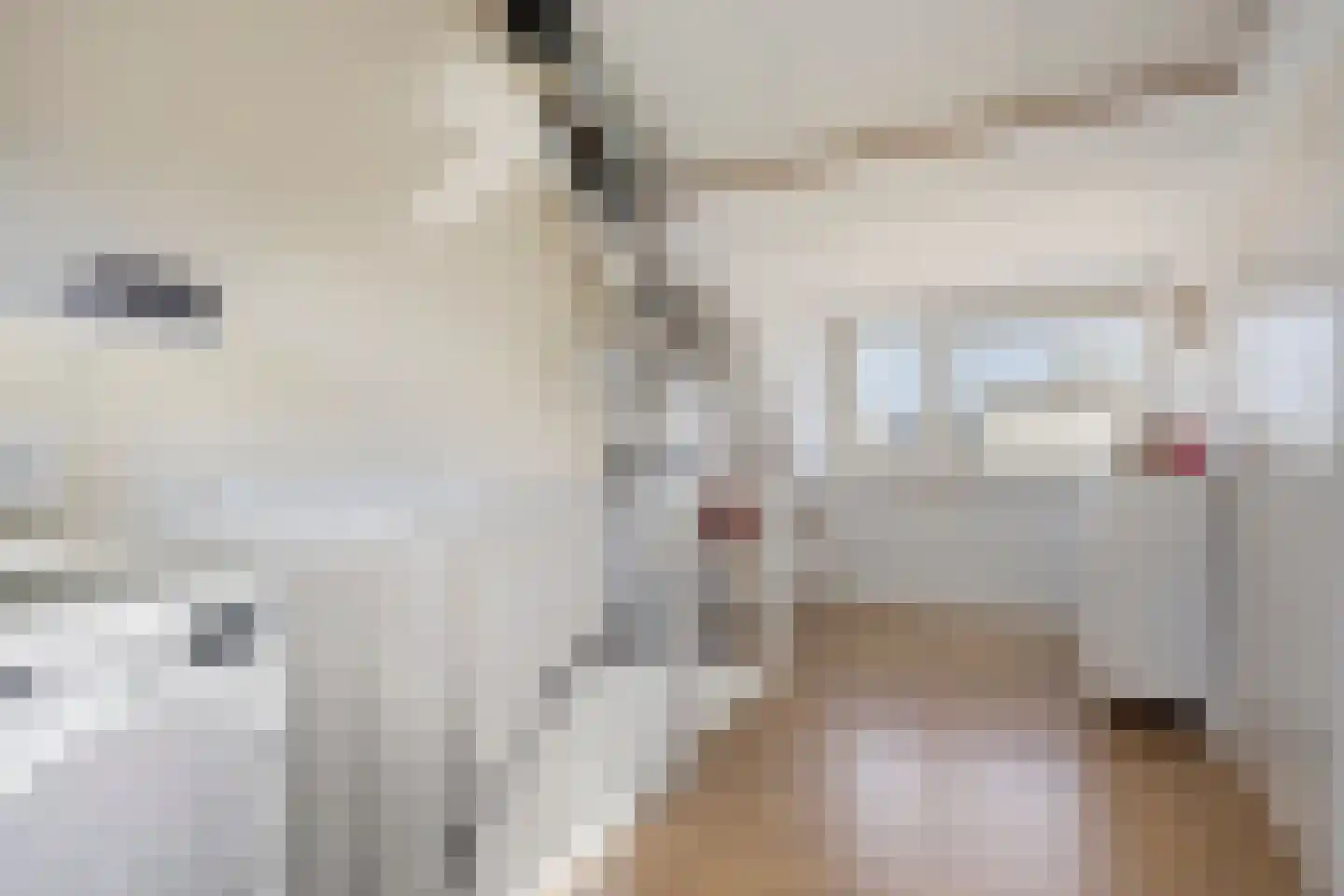 Malder 14 Uden thumbnail 30