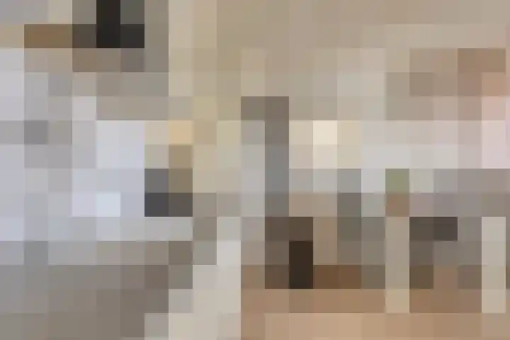 Malderpad 1 Boxtel thumbnail 11