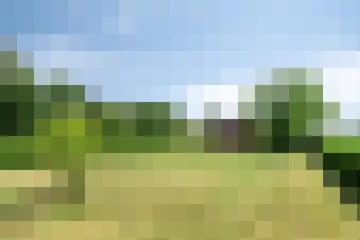 Malderpad 1 Boxtel thumbnail 26