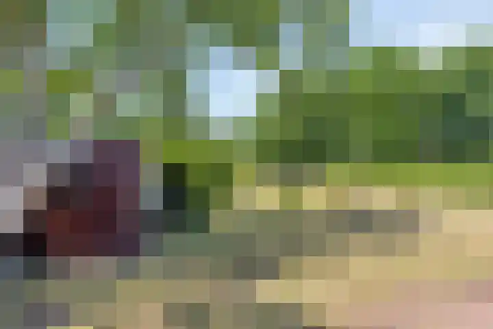 Malderpad 1 Boxtel thumbnail 29