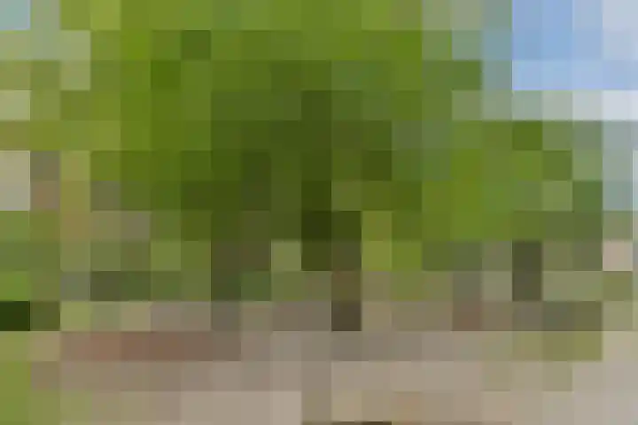 Malderpad 1 Boxtel thumbnail 30