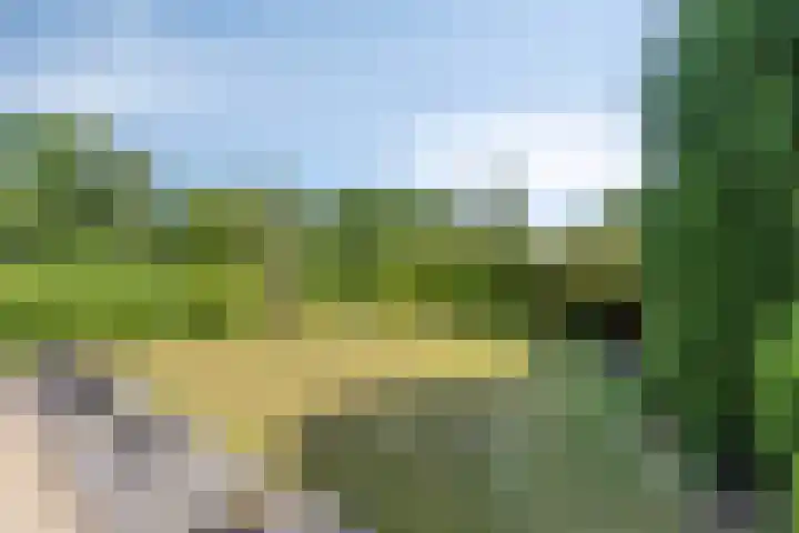 Malderpad 1 Boxtel thumbnail 32