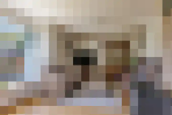 Malderpad 1 Boxtel thumbnail 4