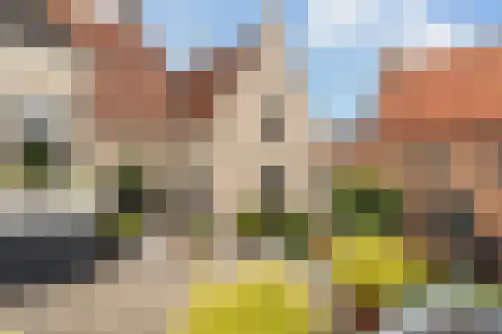 Maleborduurstraat 2 Wijk bij Duurstede thumbnail 33