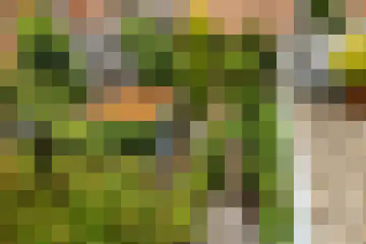 Maleborduurstraat 2 Wijk bij Duurstede thumbnail 5