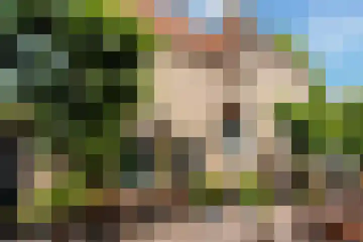 Maleborduurstraat 2 Wijk bij Duurstede thumbnail 6