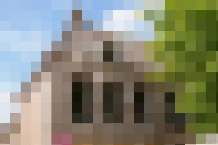 Maleborduurstraat 2 Wijk bij Duurstede thumbnail 64