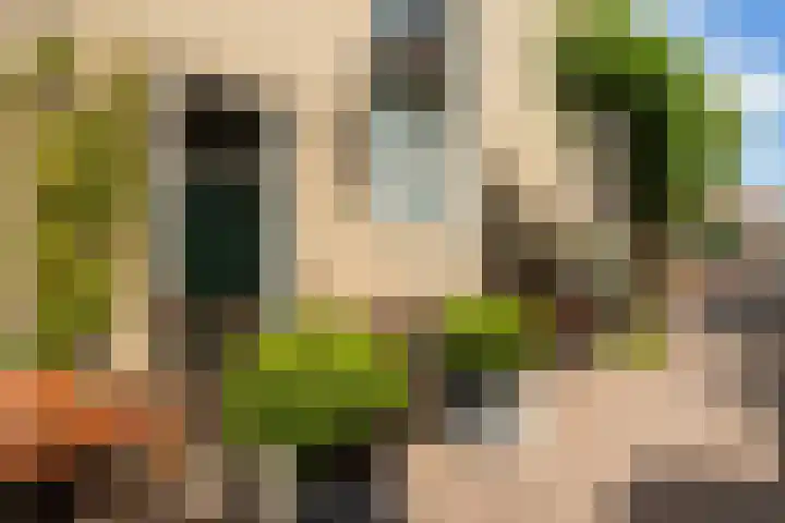 Maleborduurstraat 2 Wijk bij Duurstede thumbnail 7