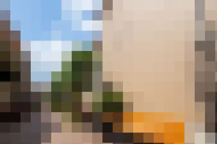 Maleborduurstraat 2 Wijk bij Duurstede thumbnail 8