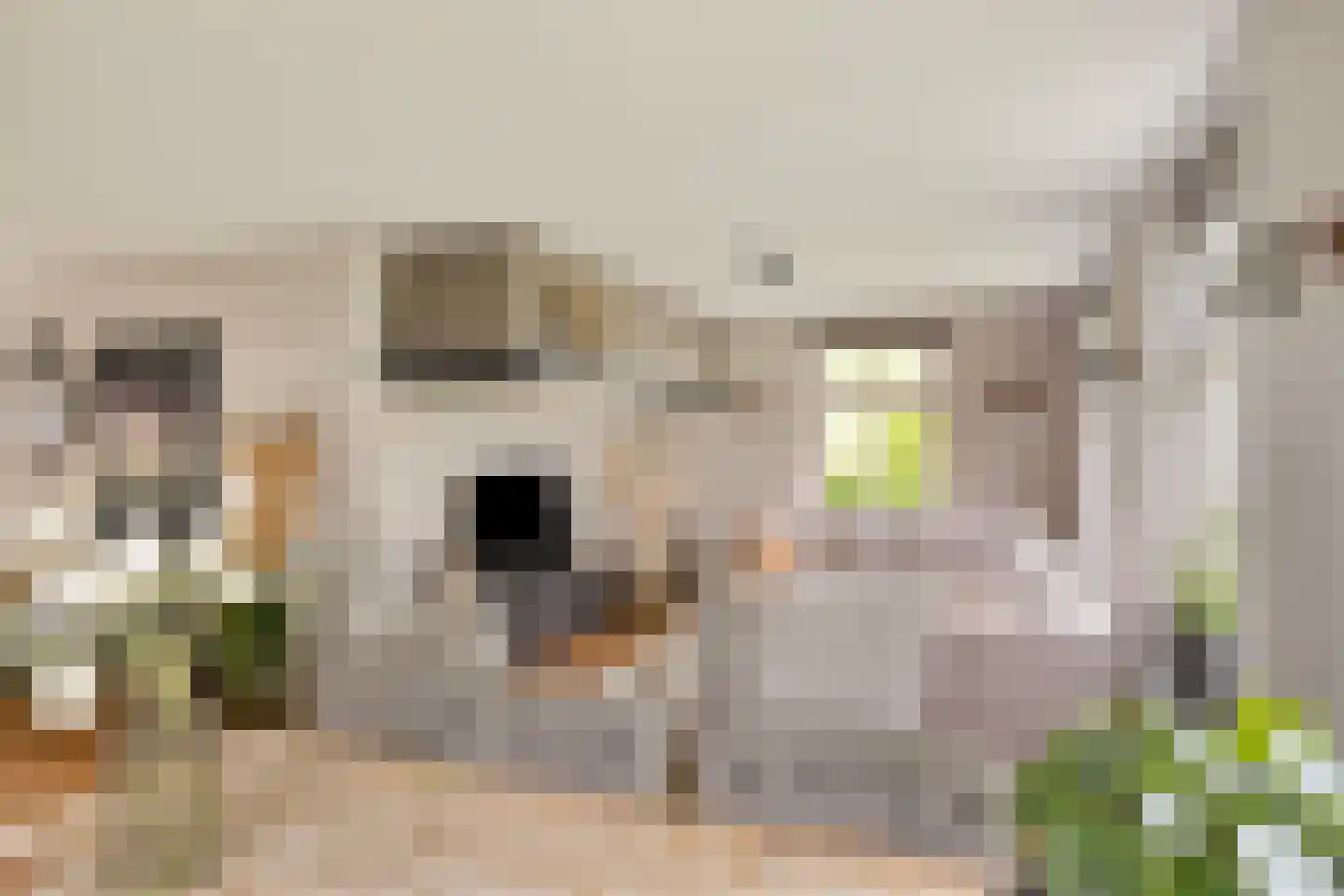 Malenveld 10 Stroe thumbnail 10