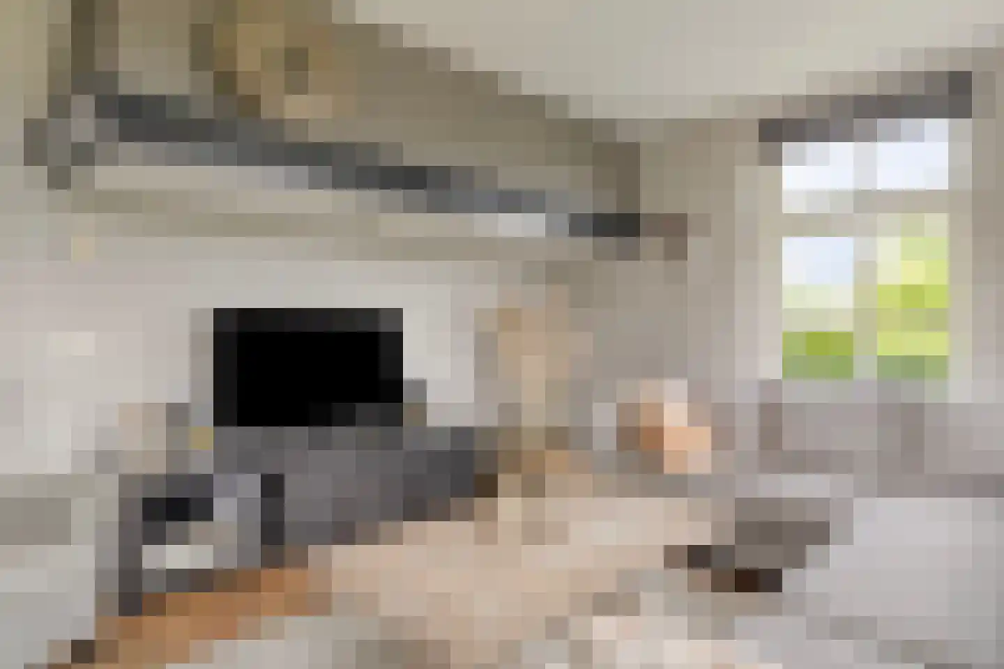 Malenveld 10 Stroe thumbnail 12