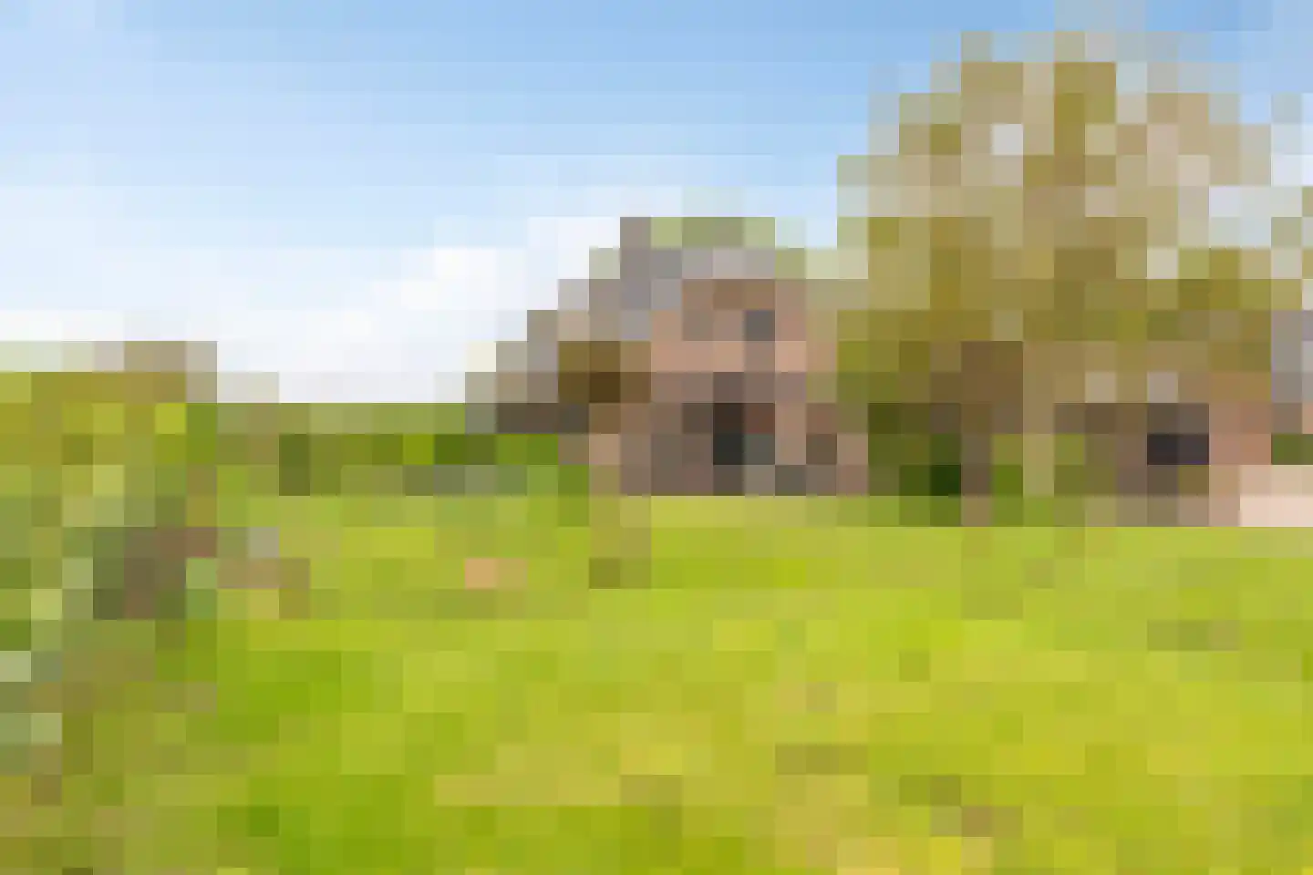 Malenveld 10 Stroe thumbnail 52