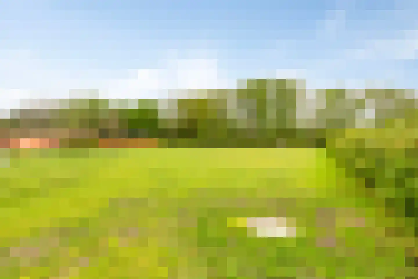 Malenveld 10 Stroe thumbnail 60
