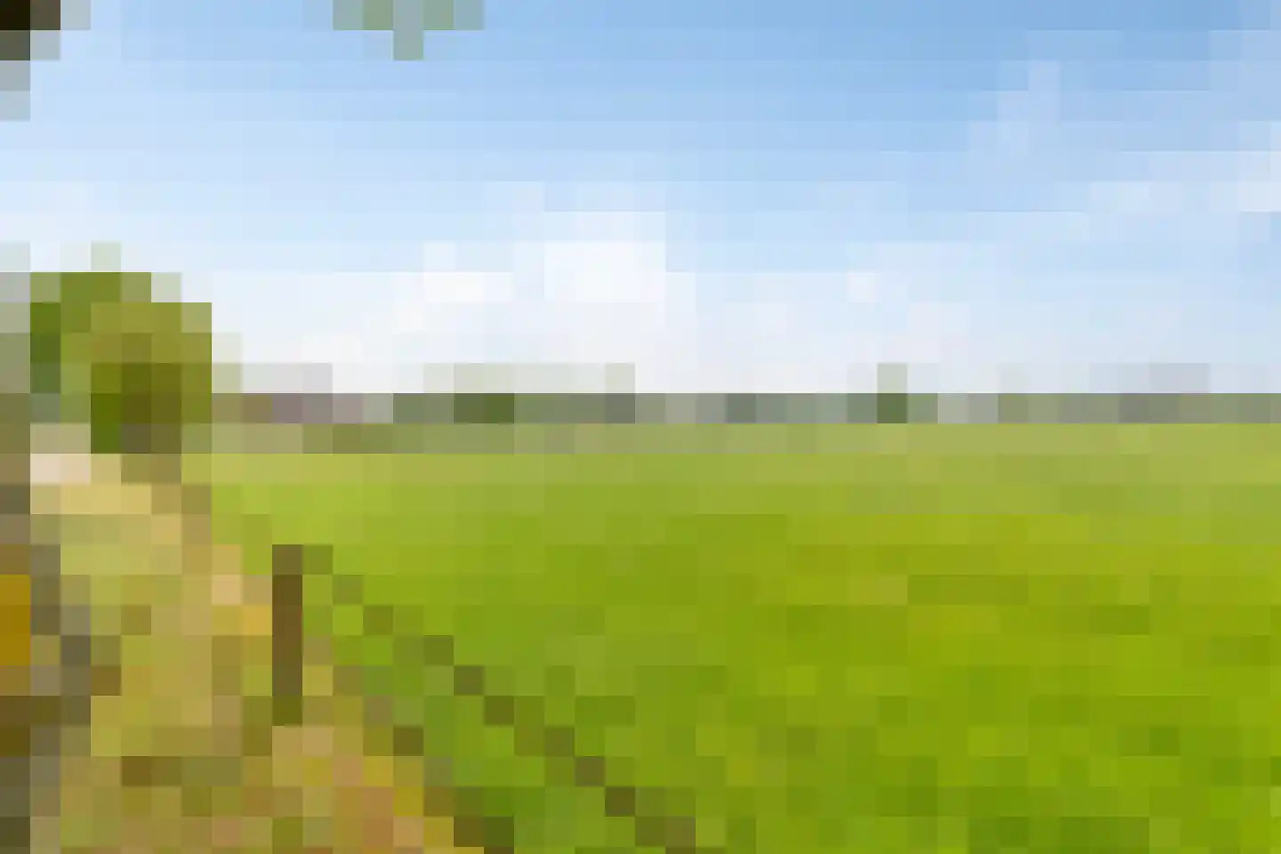 Malenveld 10 Stroe thumbnail 63