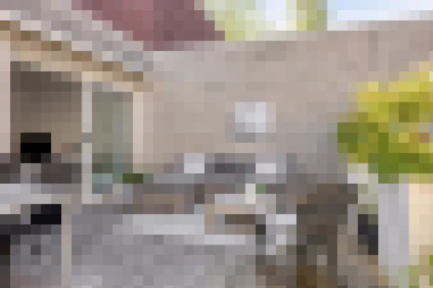 Malevitsjpad 10 Almere thumbnail 26