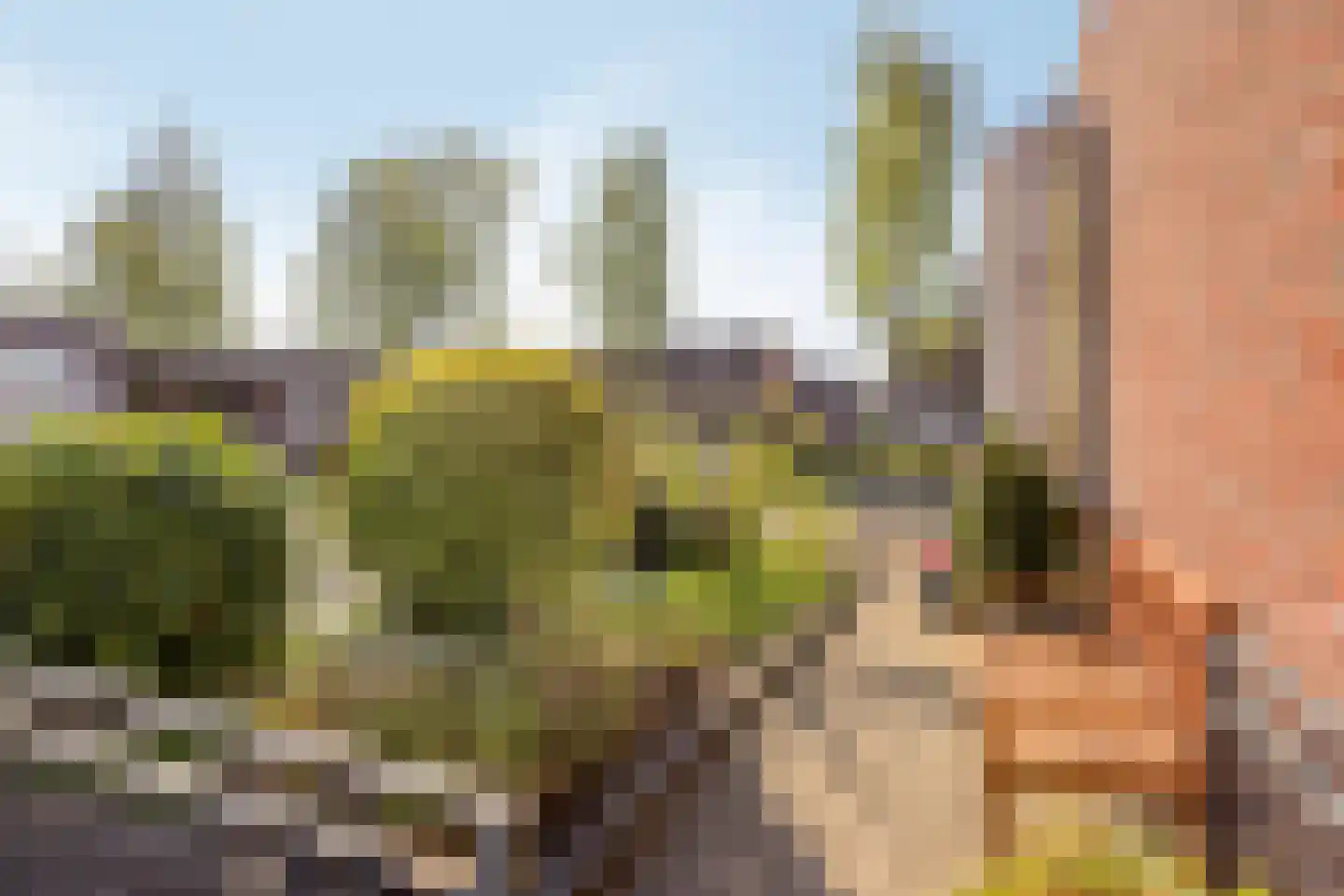 Malevitsjpad 10 Almere thumbnail 43