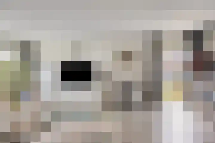 Malevitsjpad 11 Almere thumbnail 13